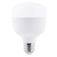 Ballet Series LED T Bulb